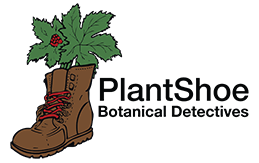 PlantShoe Logo